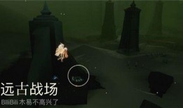 光遇冥想季最新爆料,揭秘神秘新元素与浪漫冒险之旅