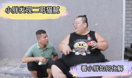 小胖爆料二哥视频播放全集,视频全集揭秘惊人内幕